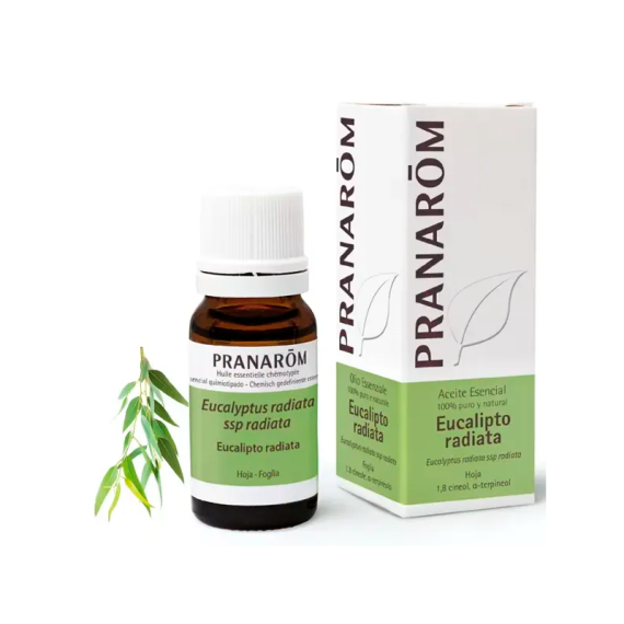 Pranarom Aceite Esen Eucalipto Radiata 10ml